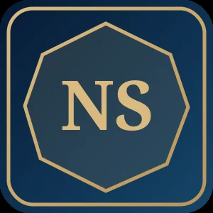 NACL–SPACETECH STEEL CONSTRUCTION JV draft identity concept